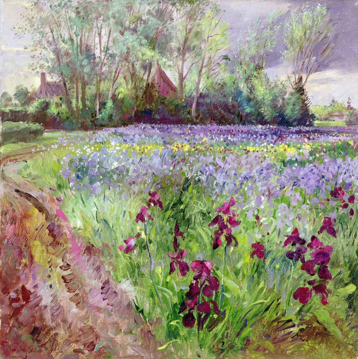 Irisfält, Stormsamling av Timothy Easton