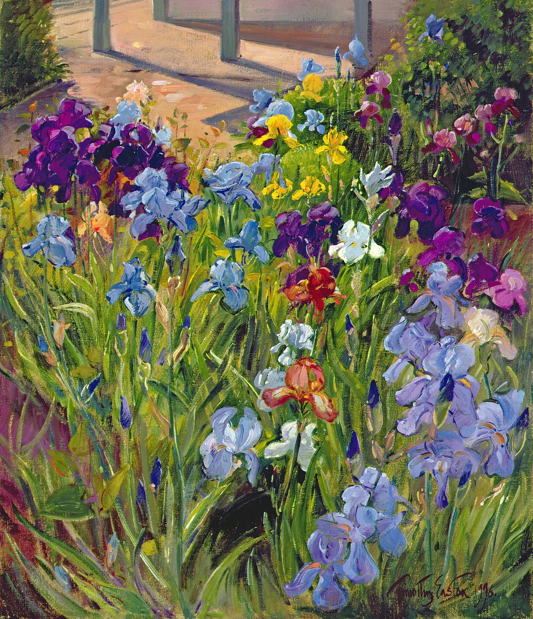 Irises and Summer House Shadows, 1996 av Timothy Easton