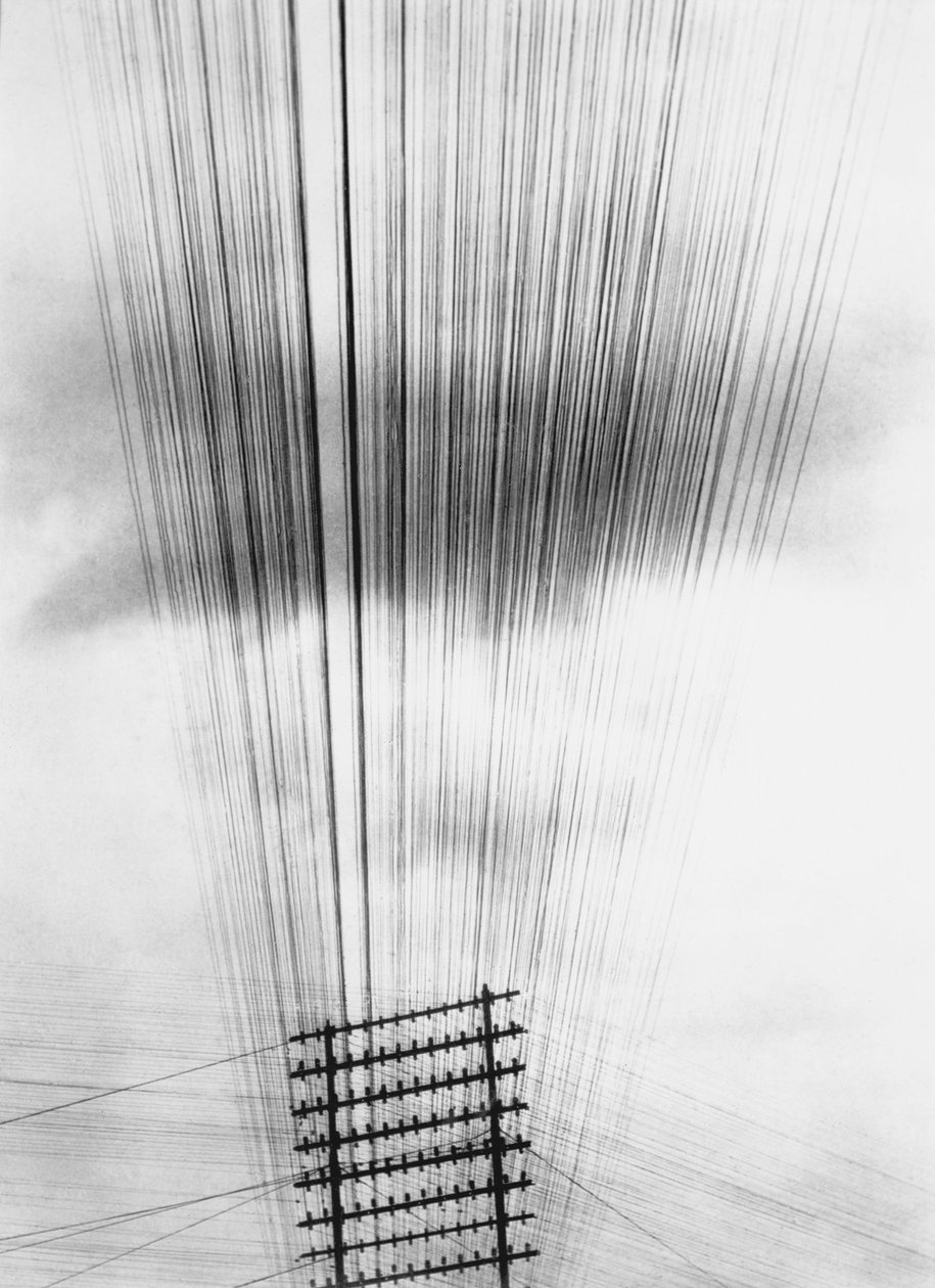 Telephone Wires, Mexiko, 1925 av Tina Modotti