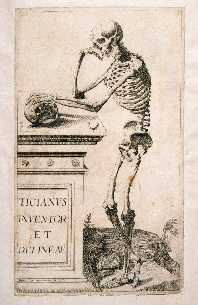 Anatomisk studie, av Domenico Maria Bonavera (f.1640) (etsning och torrnål) av Tiziano Vecelli