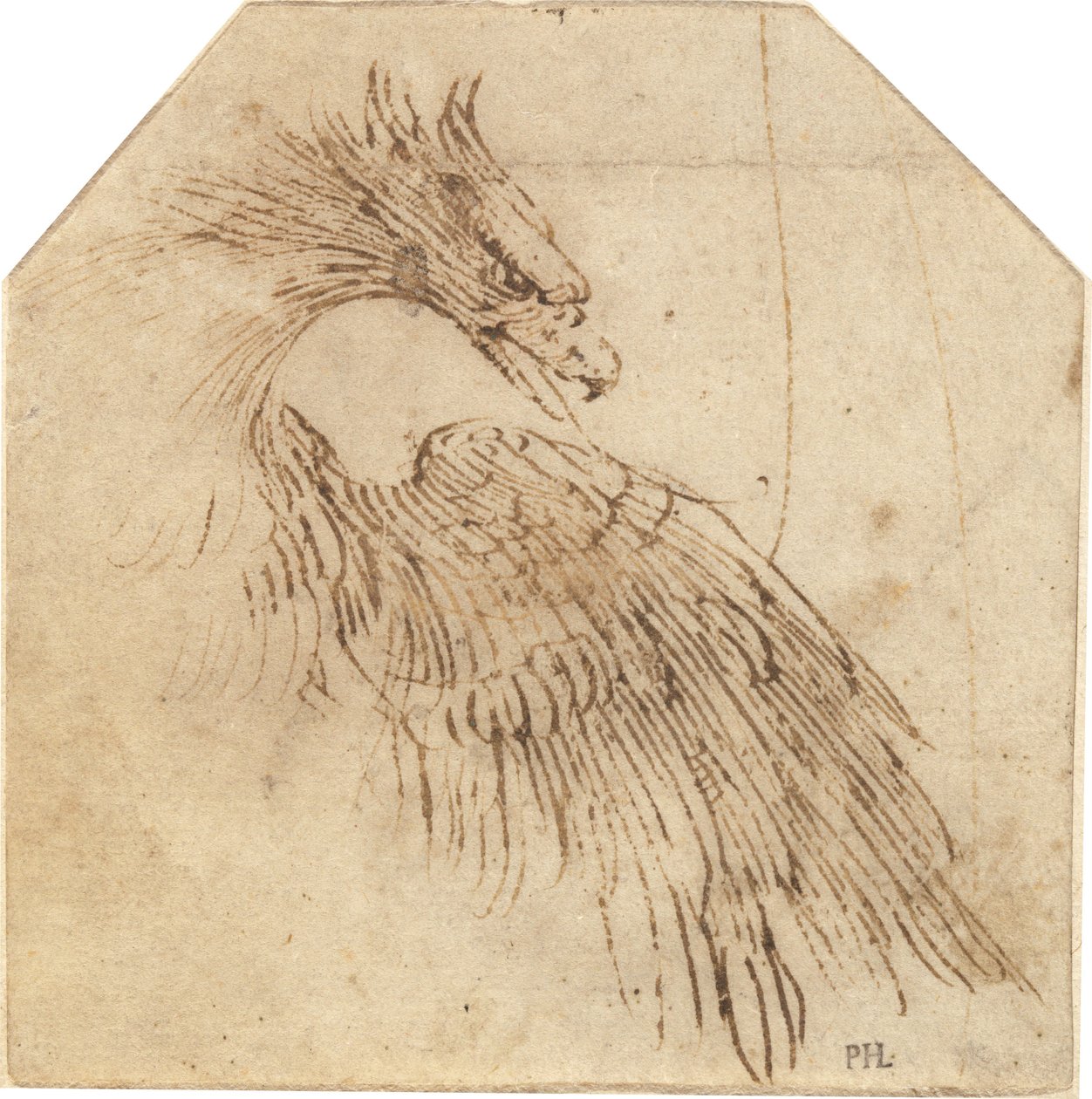 En örn av Titian