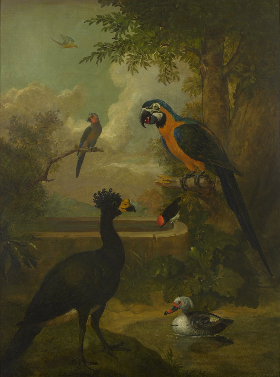 Macaw och andra fåglar i ett landskap av Tobias Stranover