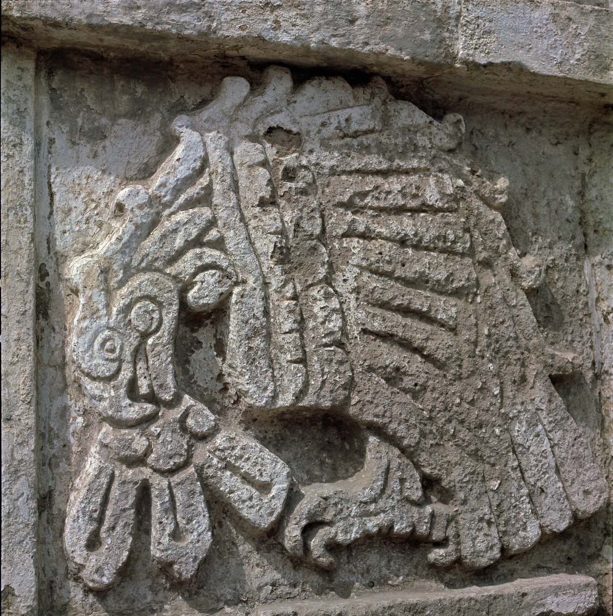 Relief av en örn, Quetzalcoatls tempel av Toltec Toltec