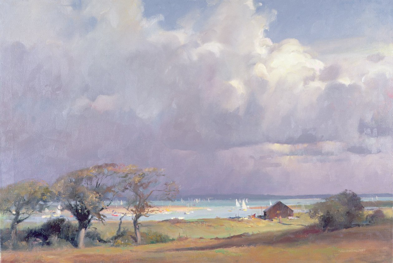 Hotande storm i Solent, 1989 av Trevor Chamberlain