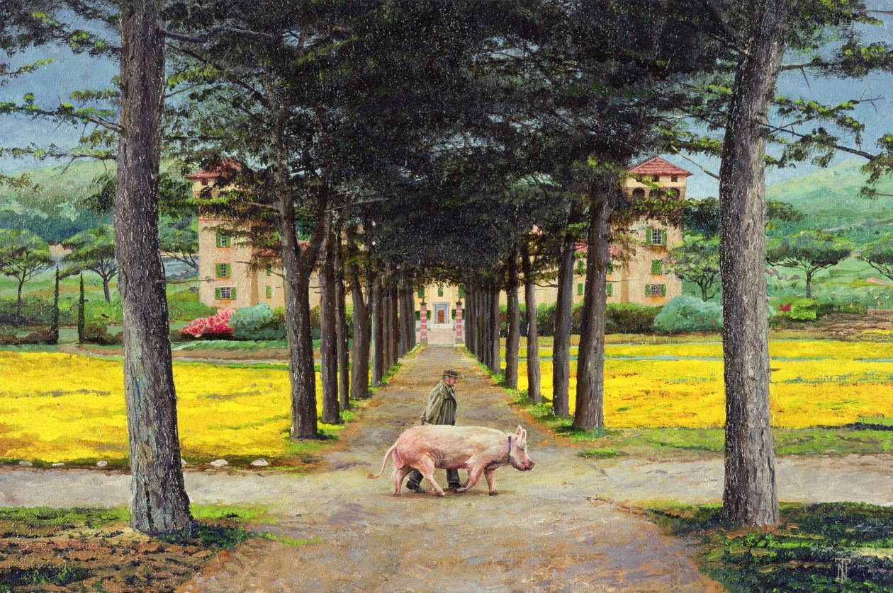 Stor gris, Pistoia, Toscana av Trevor Neal