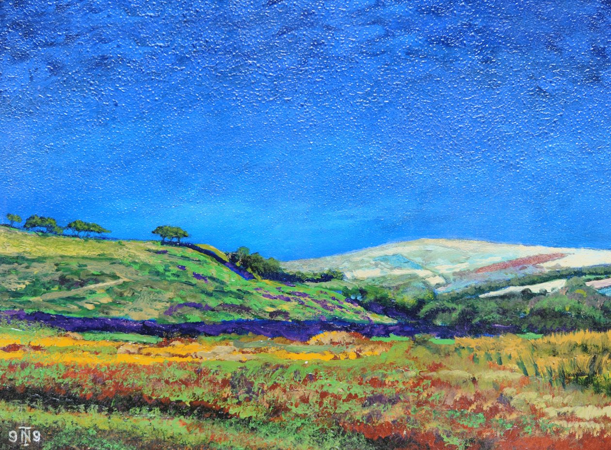 Derbyshire landskap, 1999 av Trevor Neal