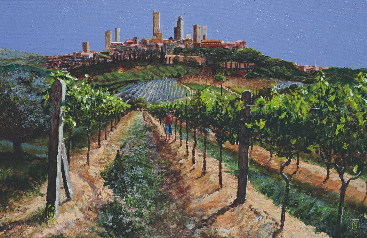 Grape Vines, San Gimignano, Toscana, 1998 av Trevor Neal