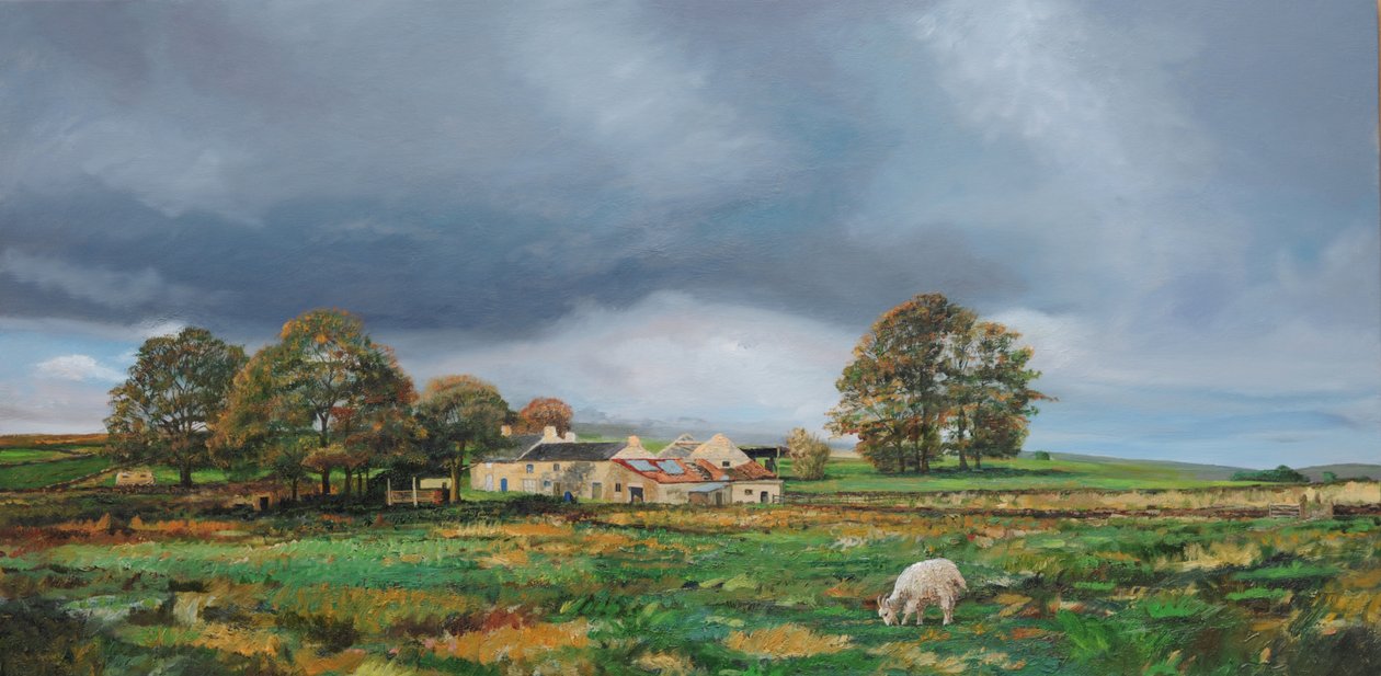 Old Farm, Monyash, Derbyshire, 2009 av Trevor Neal