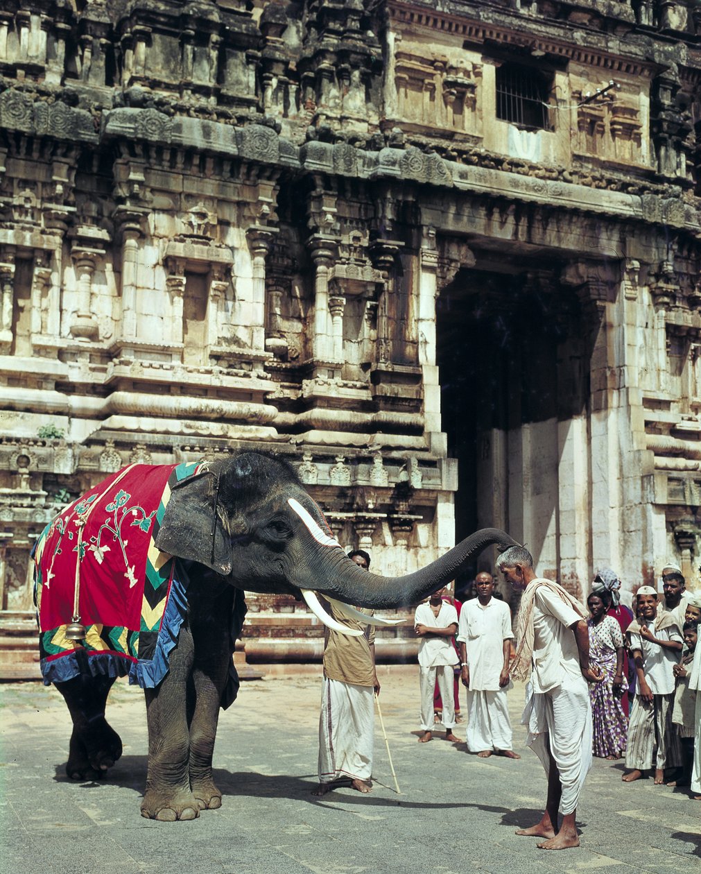 En man som välsignas av en elefant vid templet Varadarajaswamy av Unbekannt Unbekannt