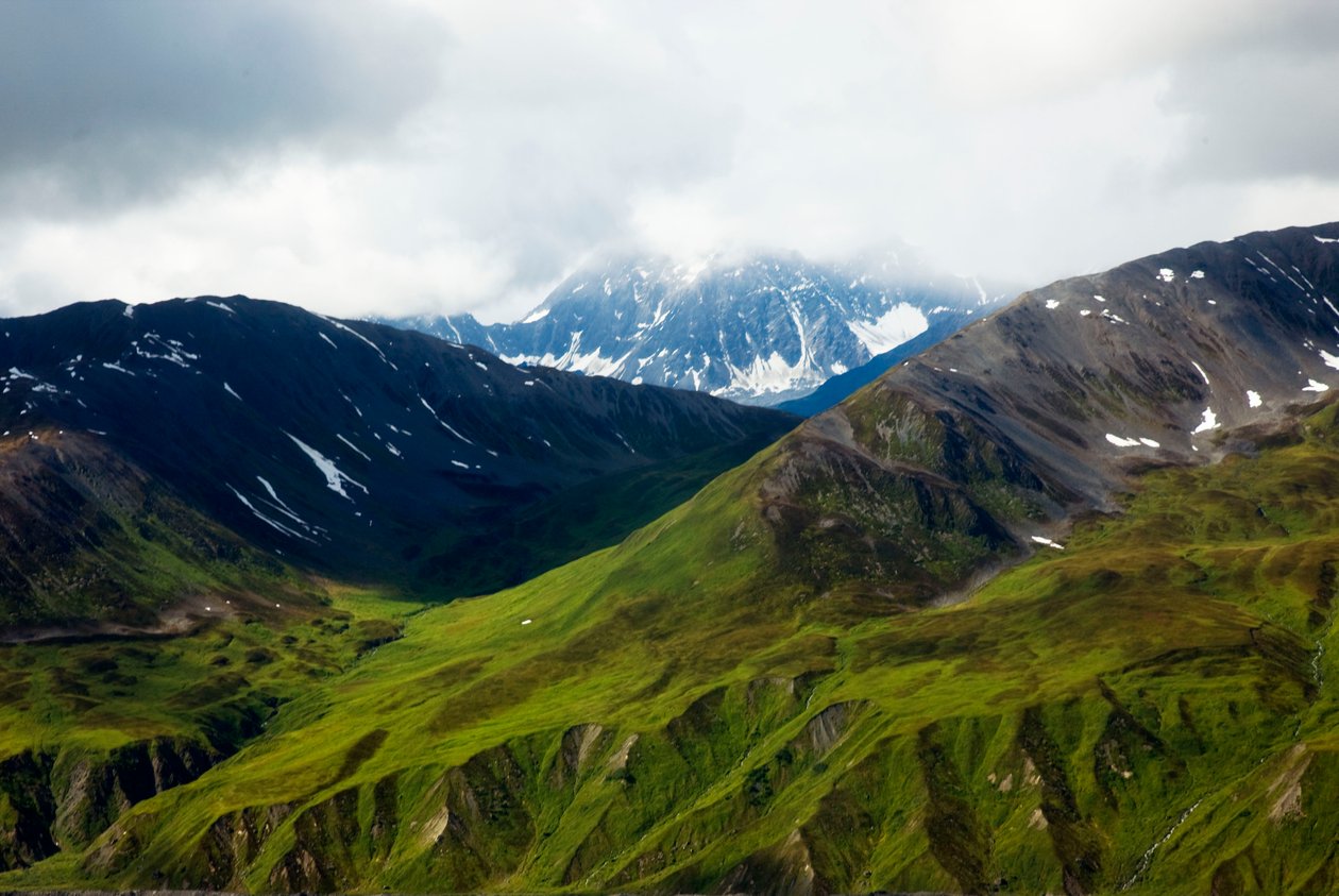Alaskan tundra, Denali National Park, Alaska av Unbekannt Unbekannt