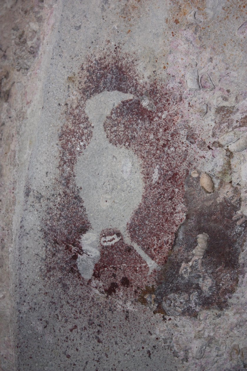 Fågelstencil 1 av Unbekannt Unbekannt