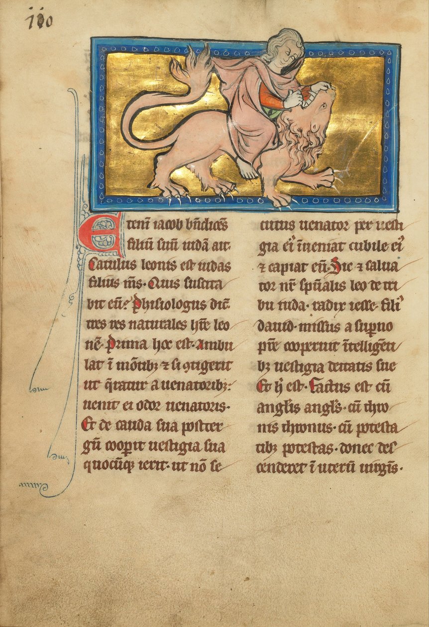 Samson Fighting a Lion (6805845) av Unbekannt Unbekannt