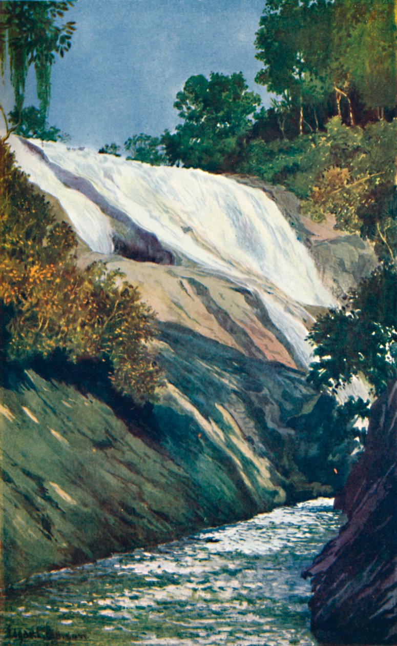 Kaskaden till Tijuca, Rio, 1914 av Unbekannt