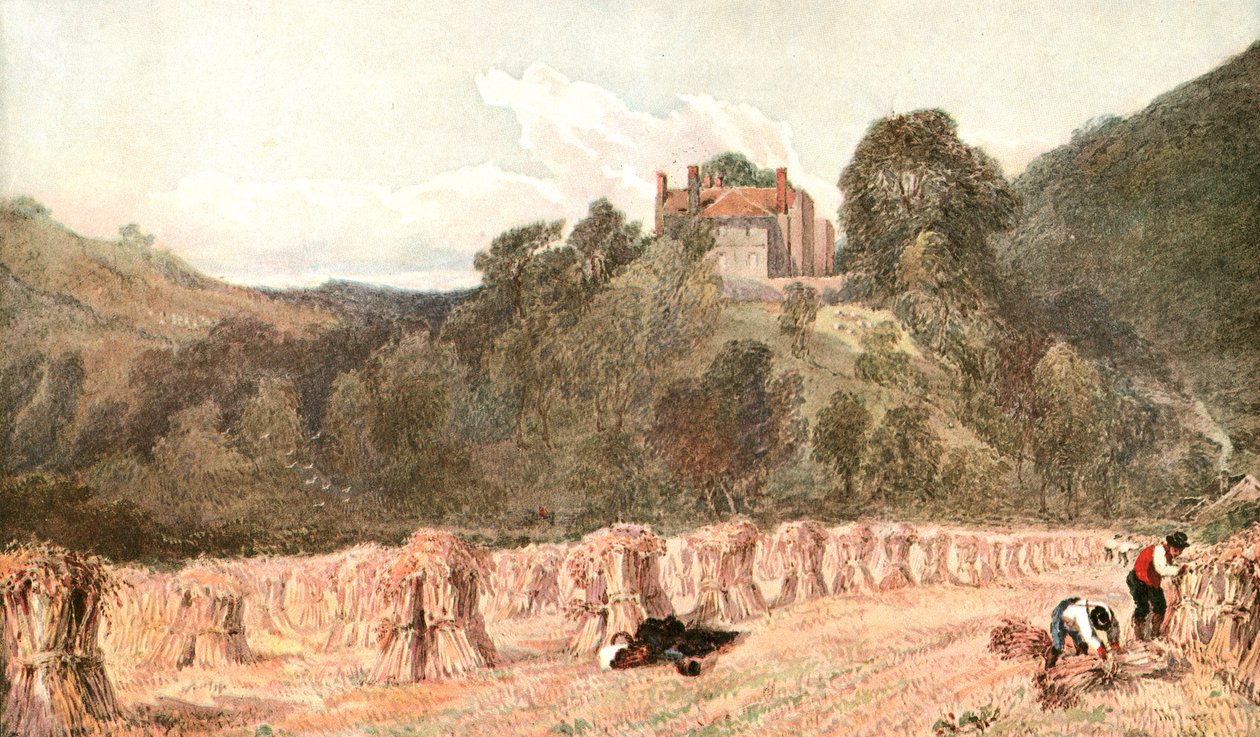 Ett majsfält, c1840-talet, c1900. av Unbekannt