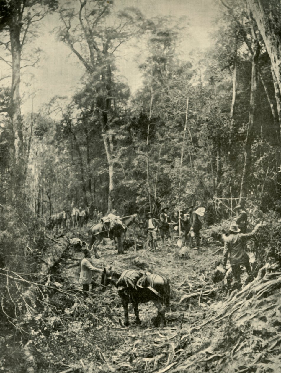 A Rough Road, Tasmanien, 1901. av Unbekannt