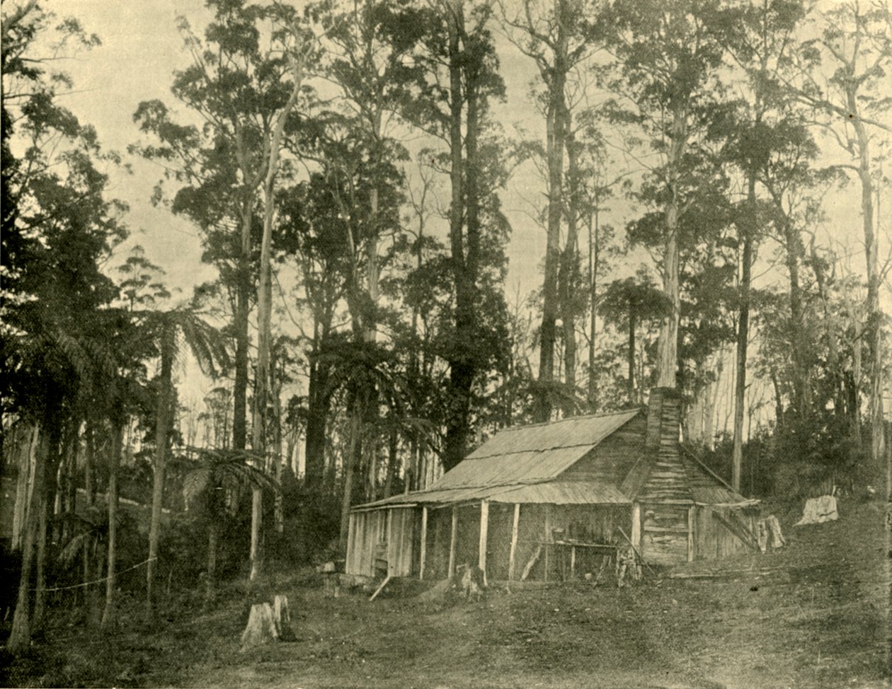 En rustik bostad, 1901. av Unbekannt