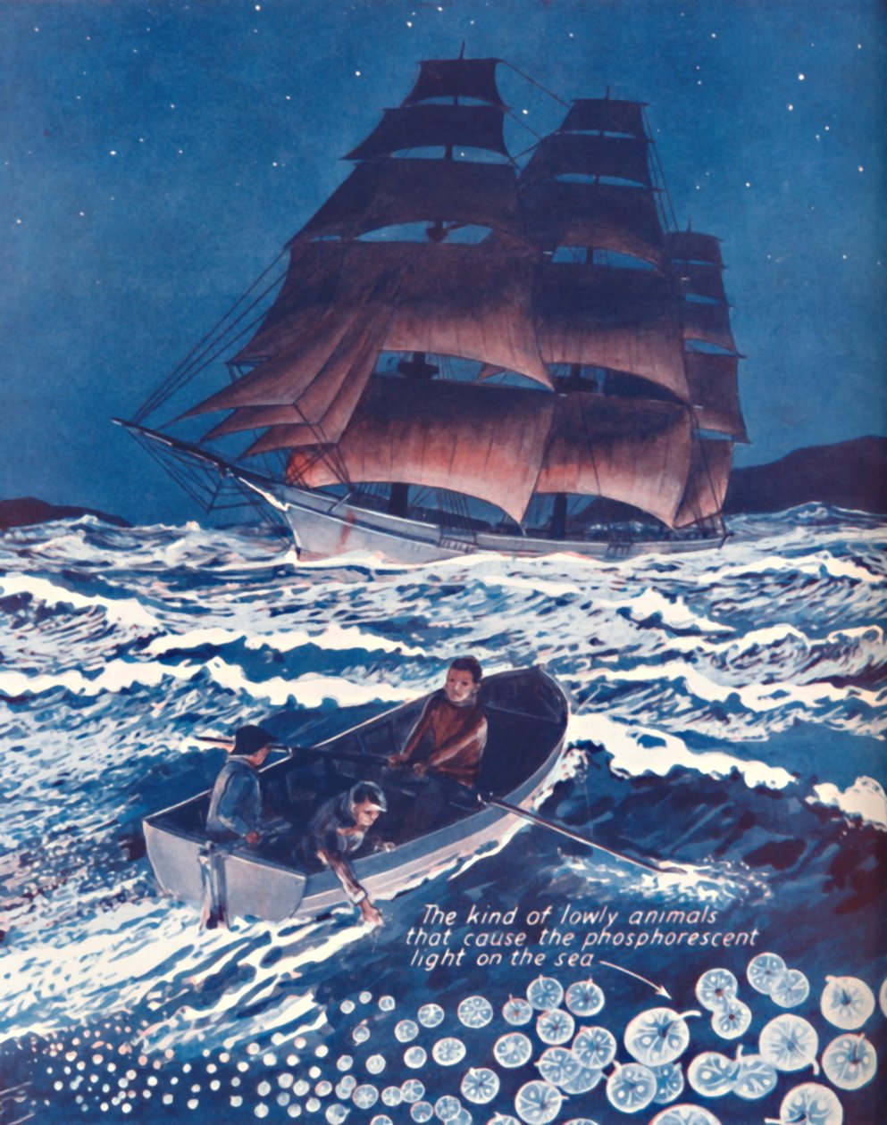Ett hav upplyst av levande nattljus, 1935 av Unbekannt
