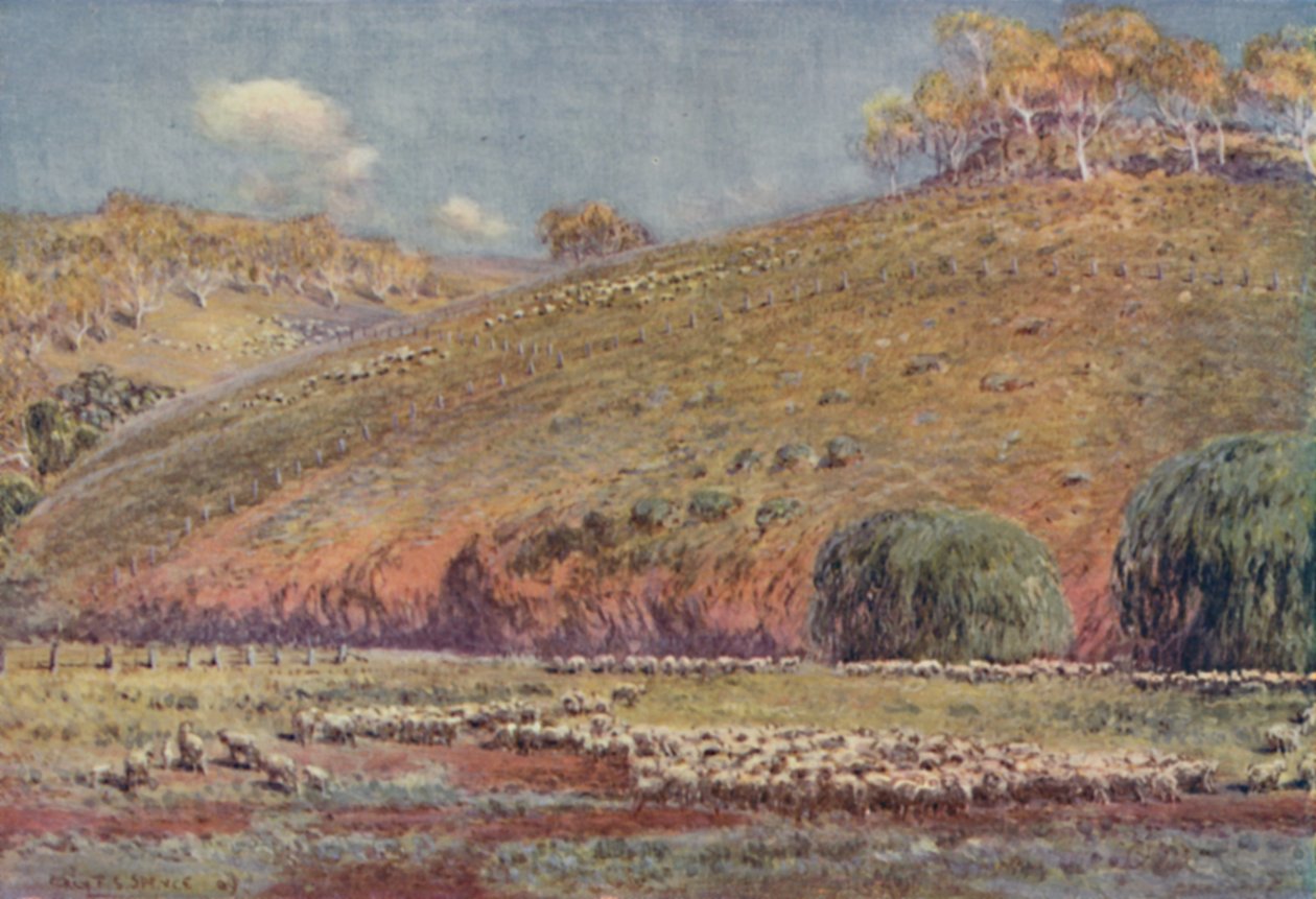 A Sheep-Run, 1923. av Unbekannt