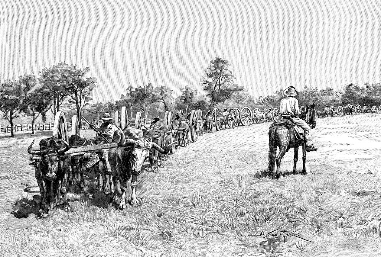 En konvoj av vagnar, Sydamerika, 1895 av Unbekannt