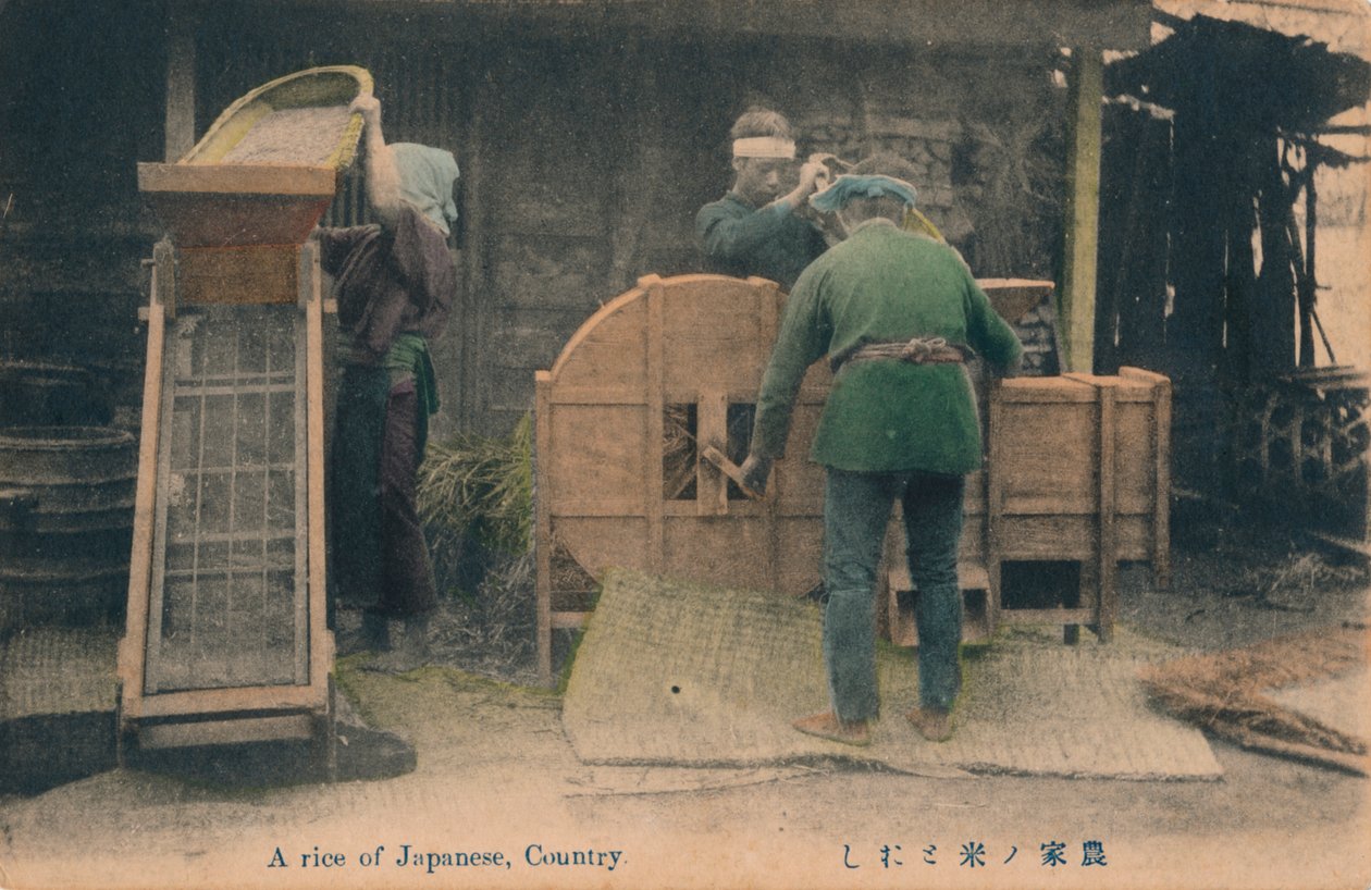 Ett ris av japanskt land, c1910. av Unbekannt
