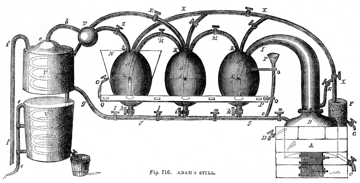 Adams still, 1886 av Unbekannt