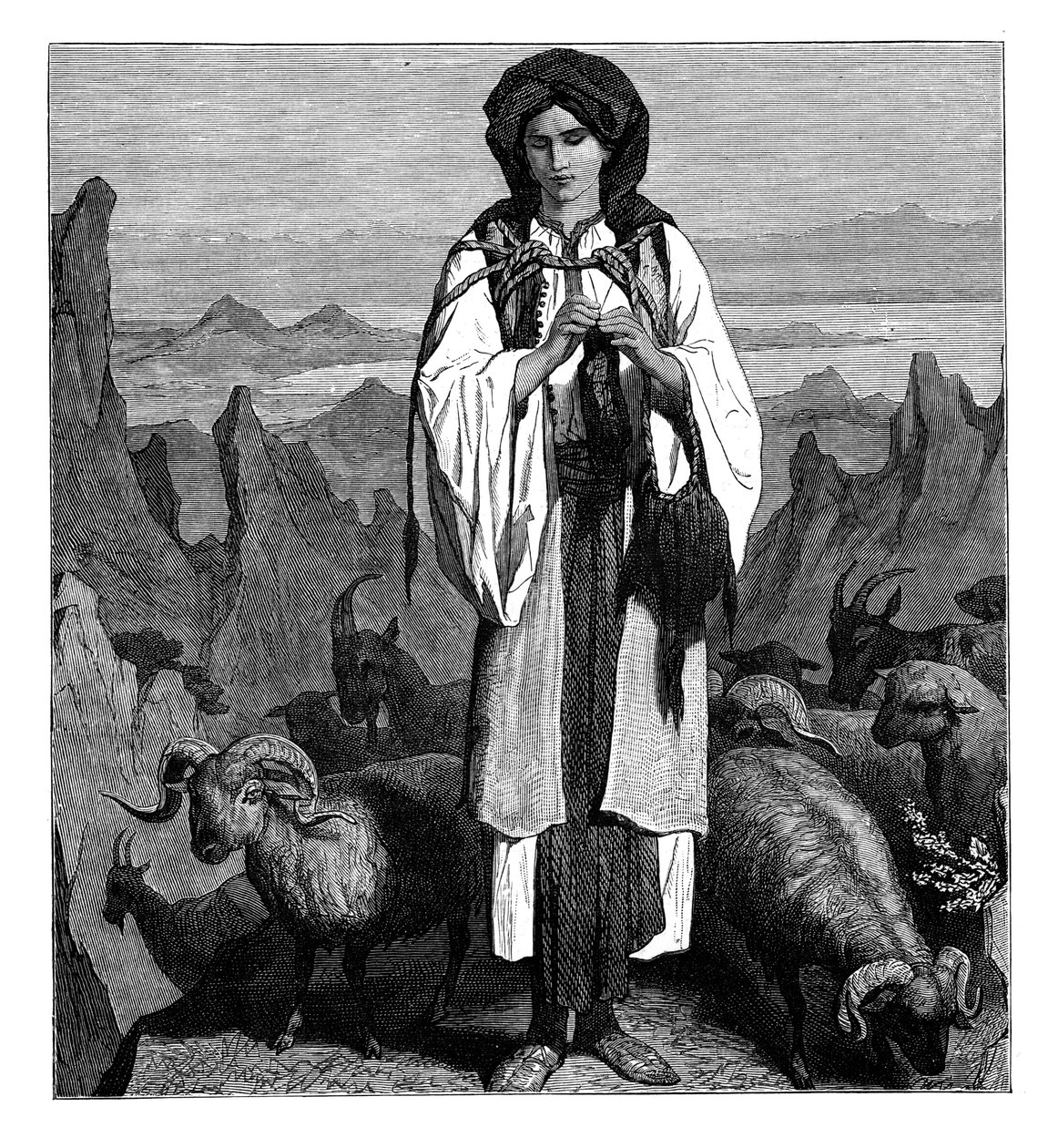 Albansk herdinna, c1890 av Unbekannt