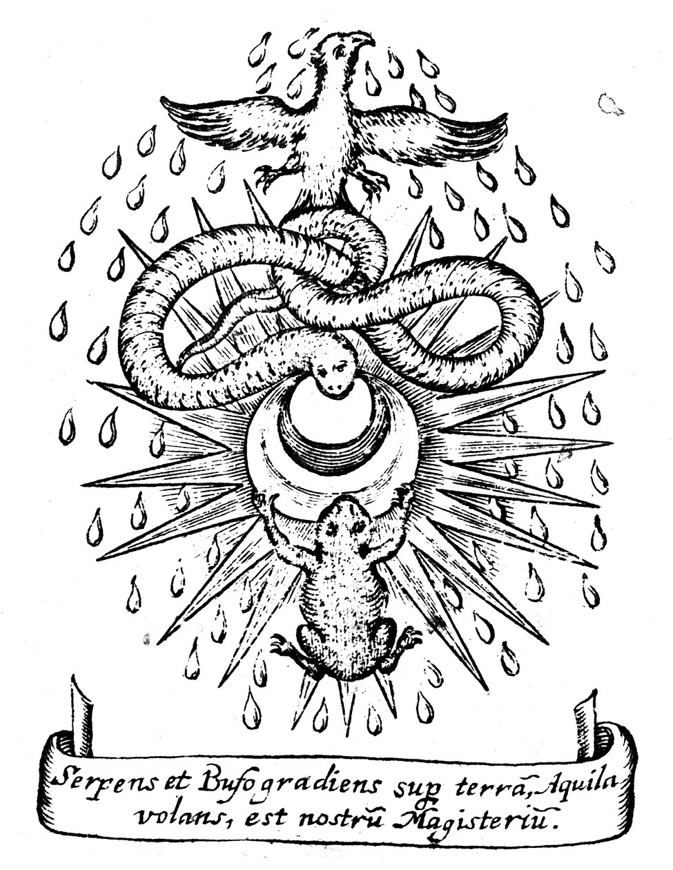 Alkemisk symbolism, 1652 av Unbekannt