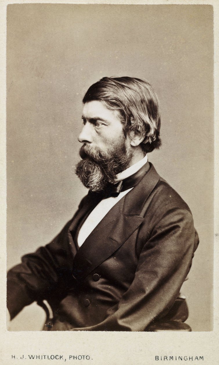 Alexander William Williamson, skotsk kemist, ca 1865 av Unbekannt