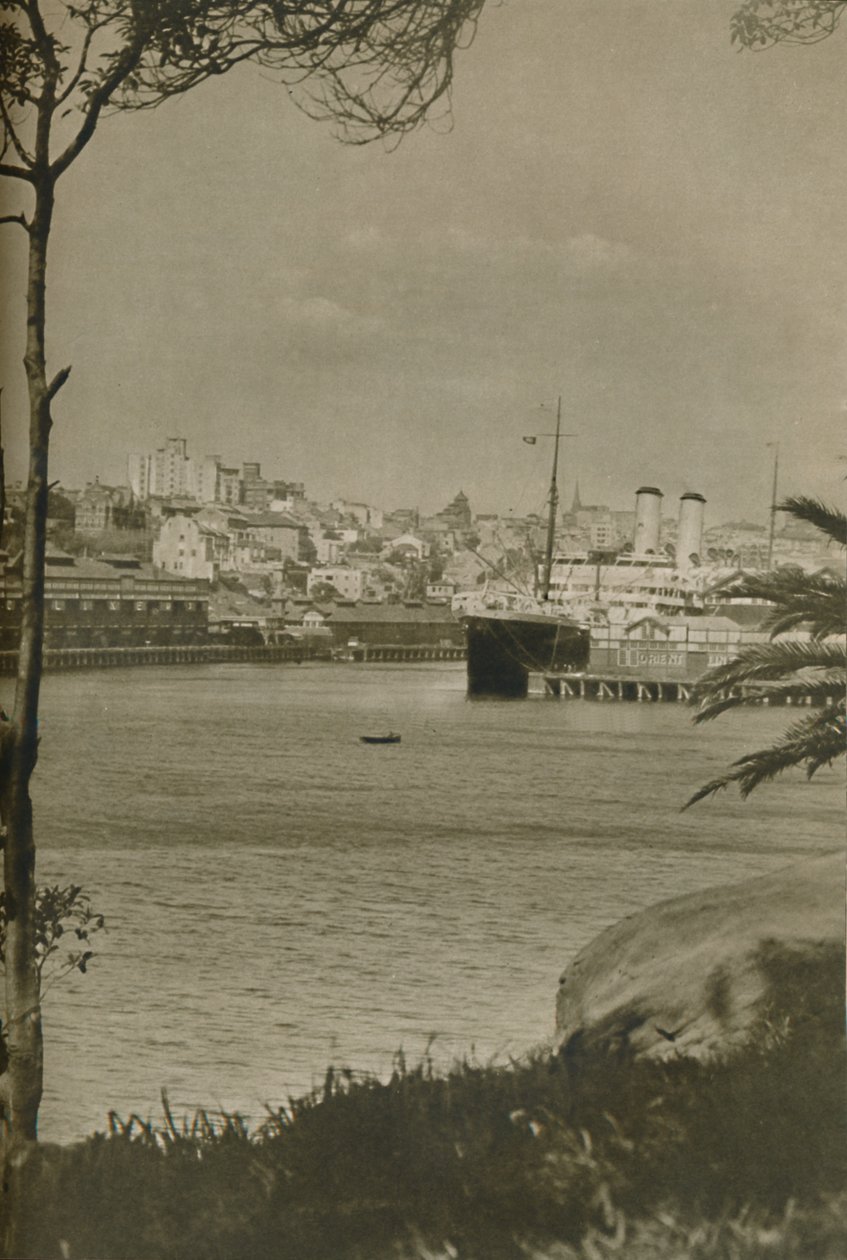 En Orient Liner förtöjd i Woolloomooloo Bay, 1937 av Unbekannt