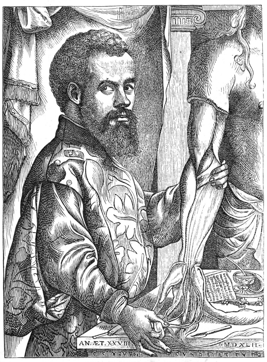 Andreas Vesalius, flamländsk anatom från 1500-talet av Unbekannt