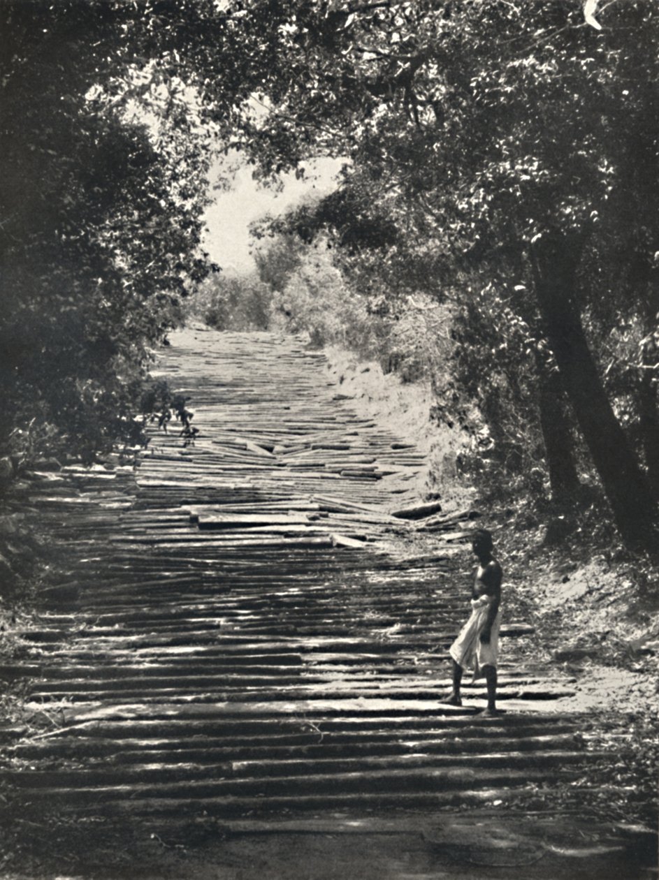Början av Mihintales stentrappa, 1926 av Unbekannt