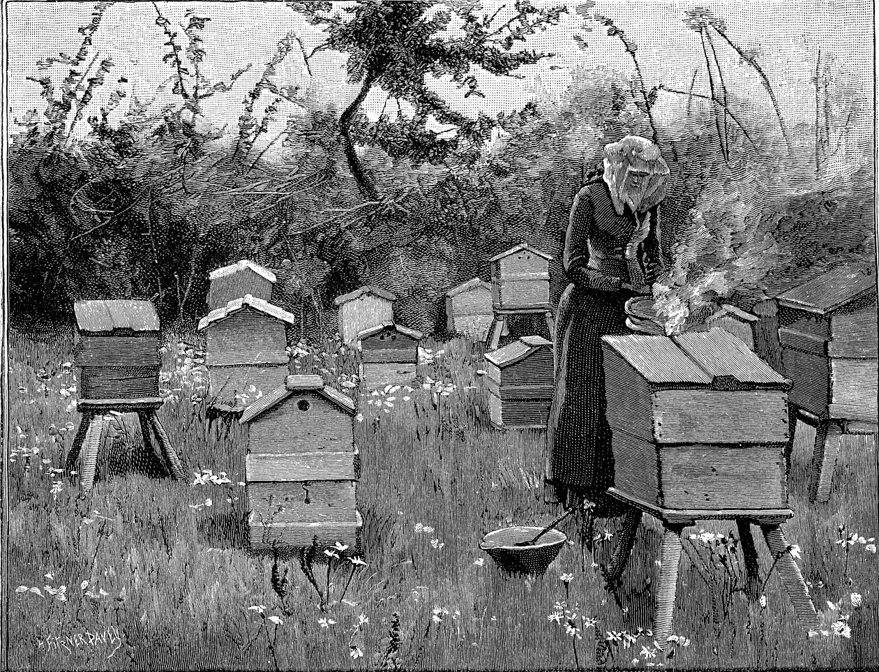 Bikupa av trä, Lismore, Irland, 1890 av Unbekannt