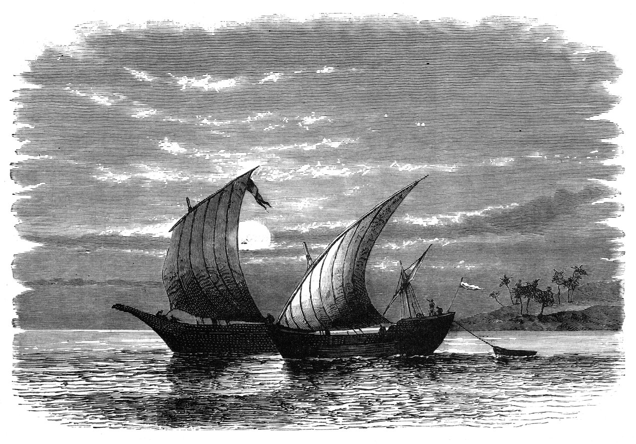 Arabiska dhows på Röda havet, c1890 av Unbekannt