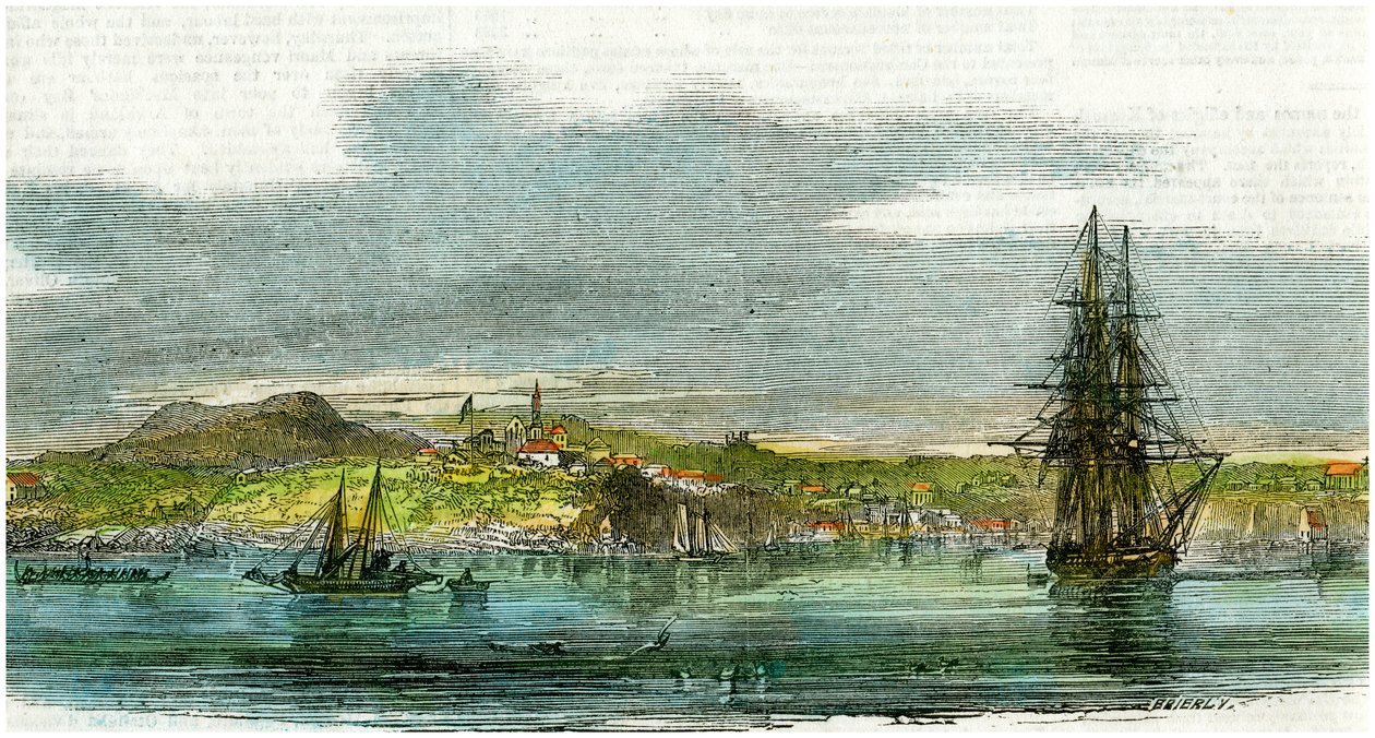 Auckland, Nya Zeeland, c1880 av Unbekannt