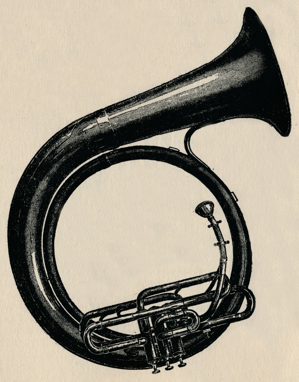 BB Circular Bass, 1910. av Unbekannt