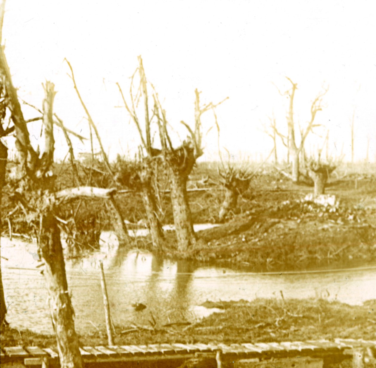 Battlefield, c1914-c1918 av Unbekannt