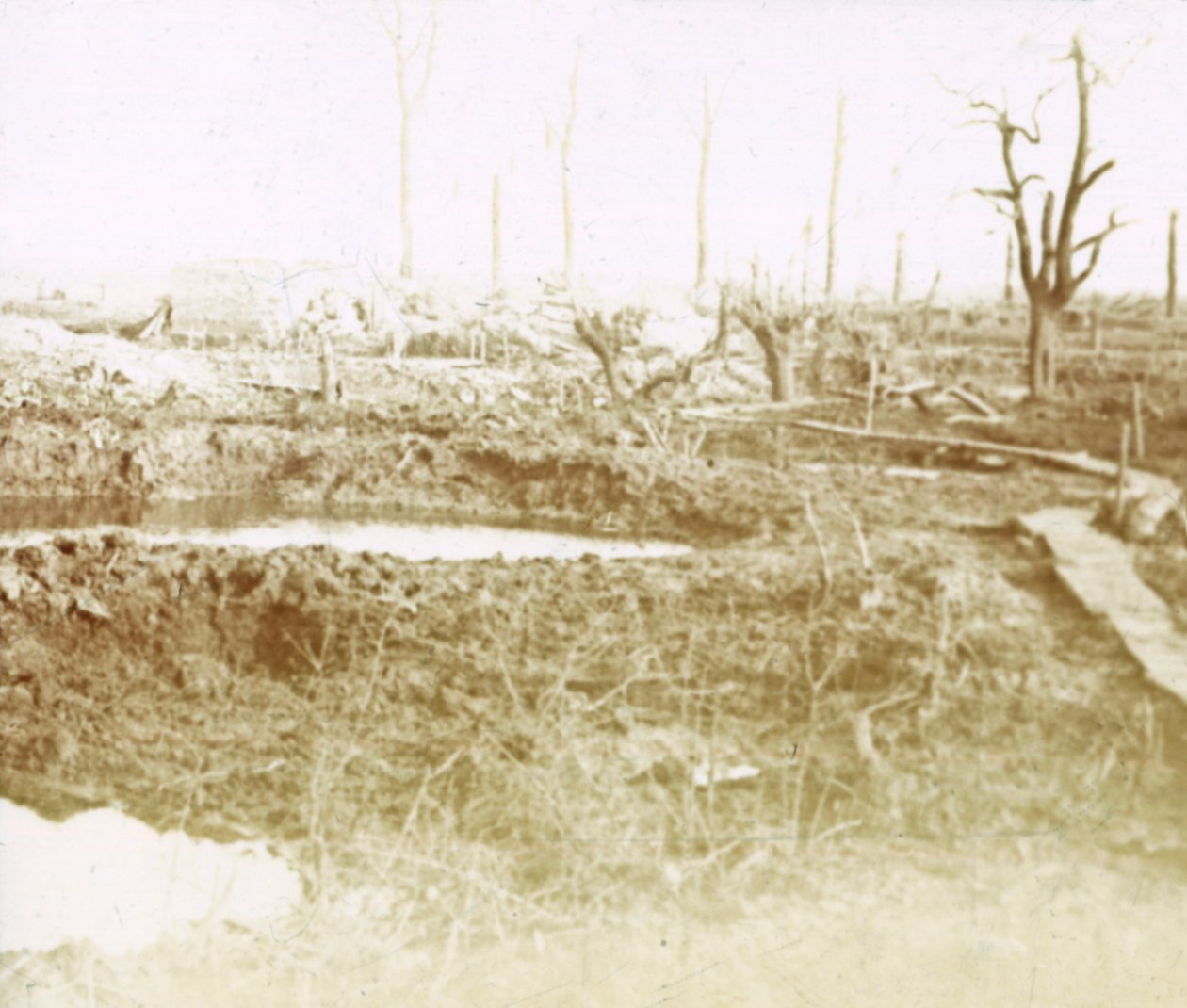 Battlefield, c1914-c1918 av Unbekannt