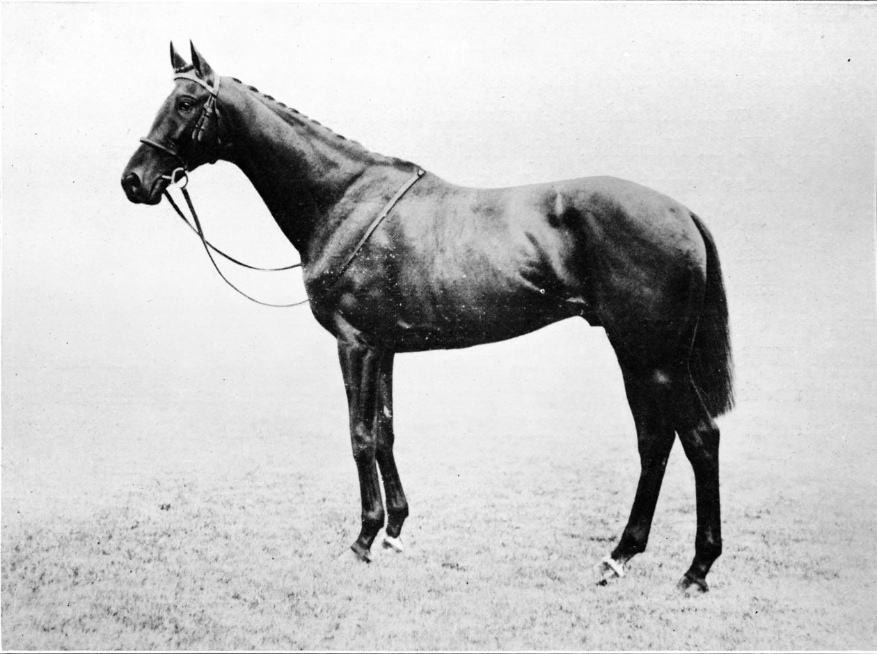 Bayard, 1911 av Unbekannt