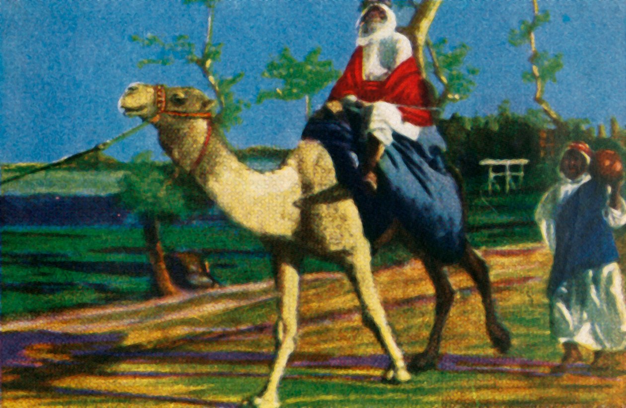 Beduin rider på en kamel, Egypten, c1928. av Unbekannt