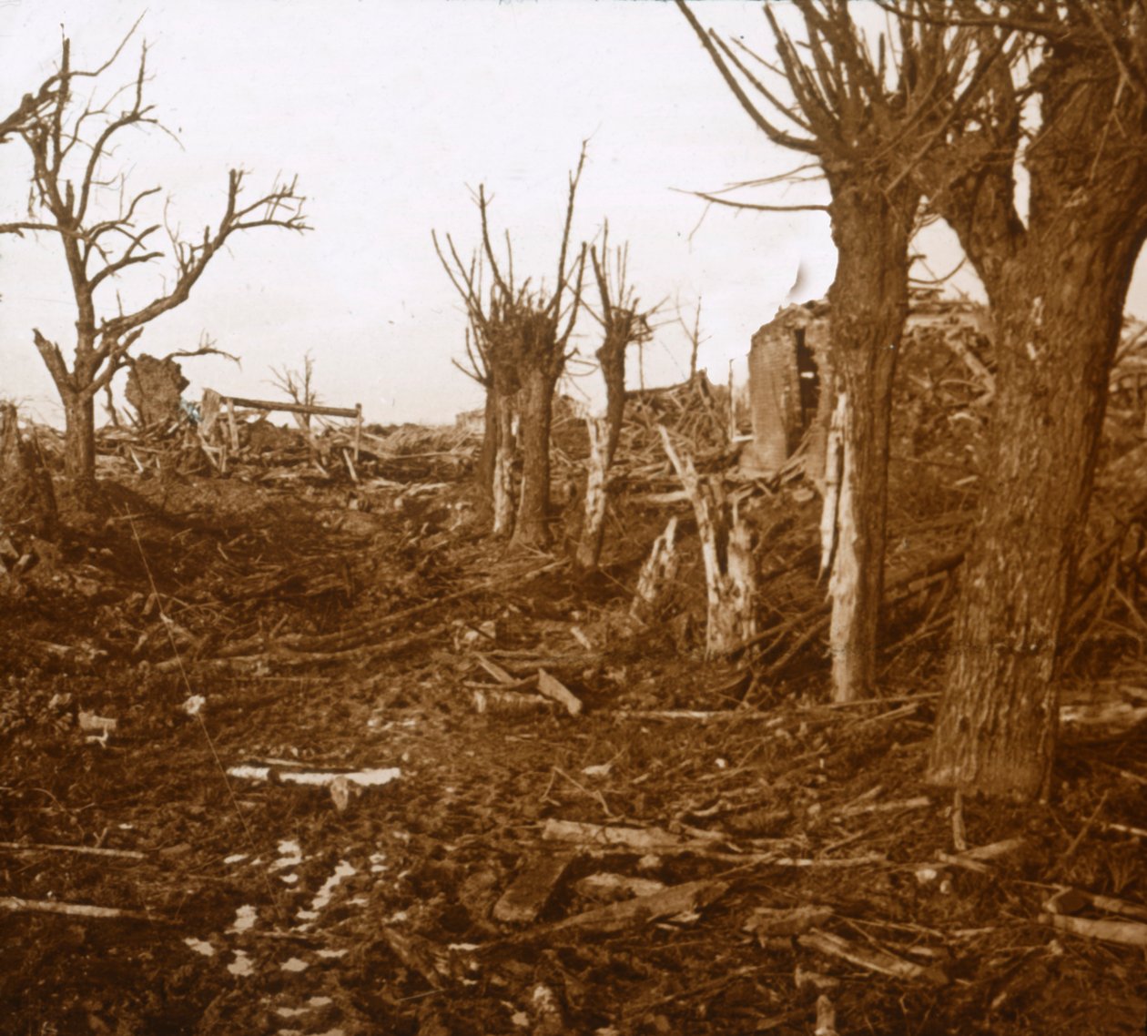 Sprängt landskap, Belloy-en-Santerre, norra Frankrike, c1914-c1918 av Unbekannt