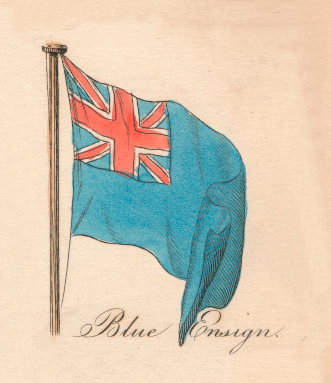 Blå fänrik, 1838 av Unbekannt