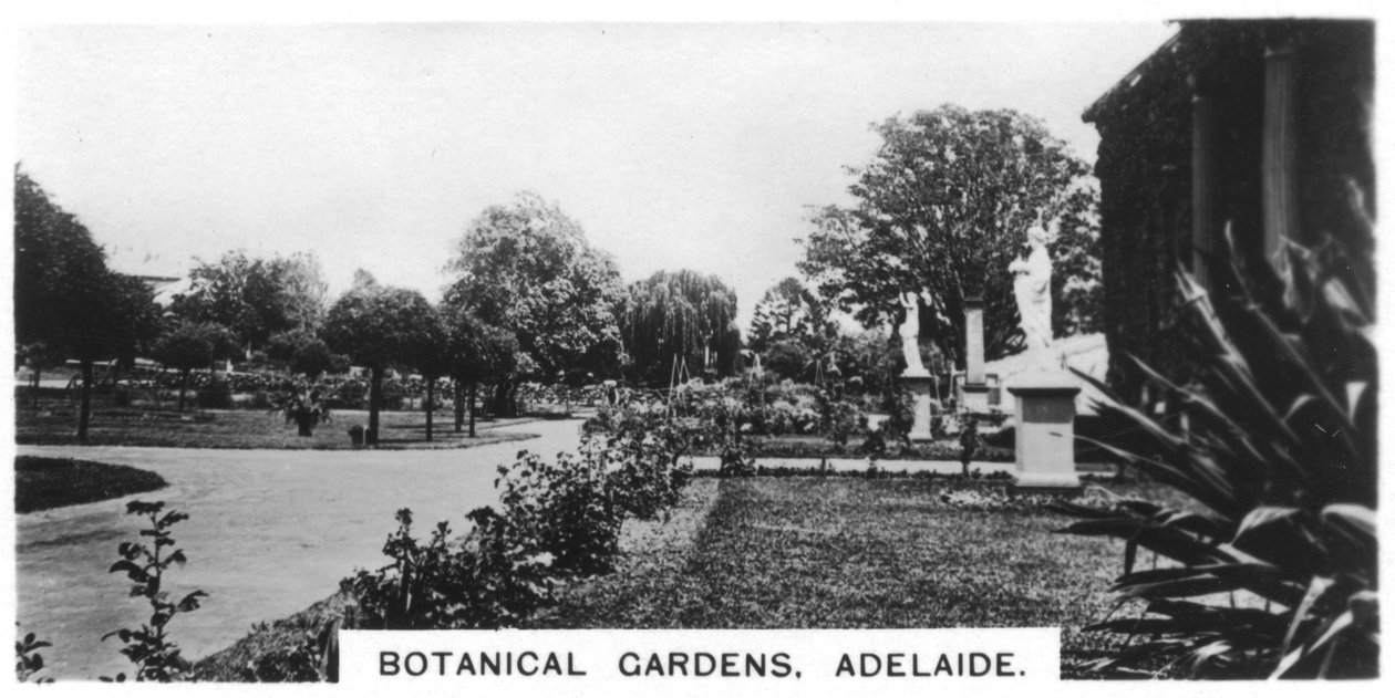Botaniska trädgården, Adelaide, Australien, 1928 av Unbekannt