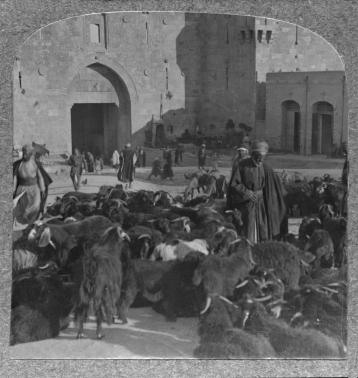 Köper getter vid Damaskusporten, Jerusalem, c1900 av Unbekannt