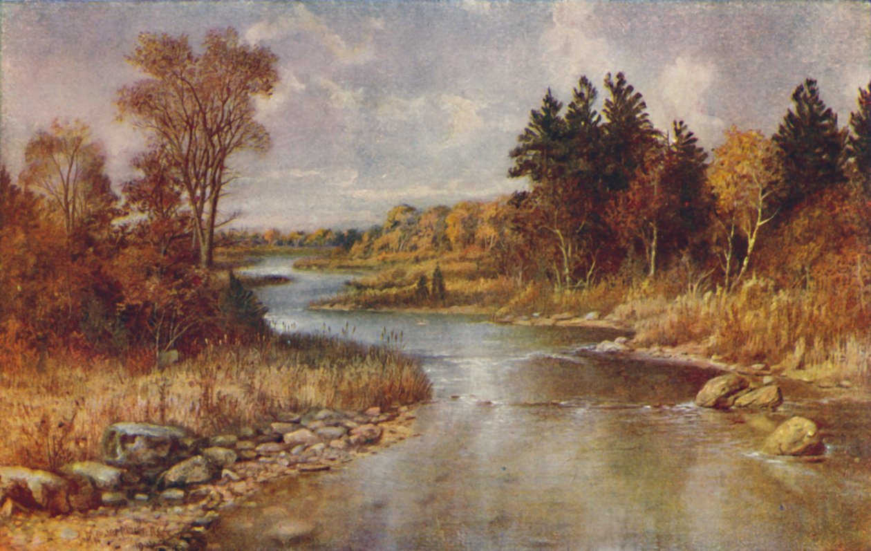 Canadian Forest Scene, 1924 av Unbekannt