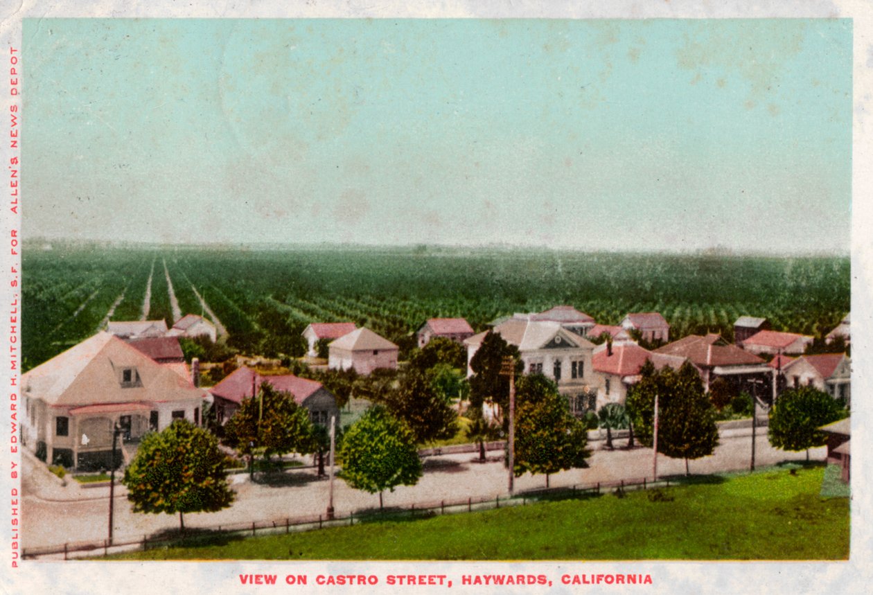 Castro Street, Hayward, Kalifornien, 1905 av Unbekannt