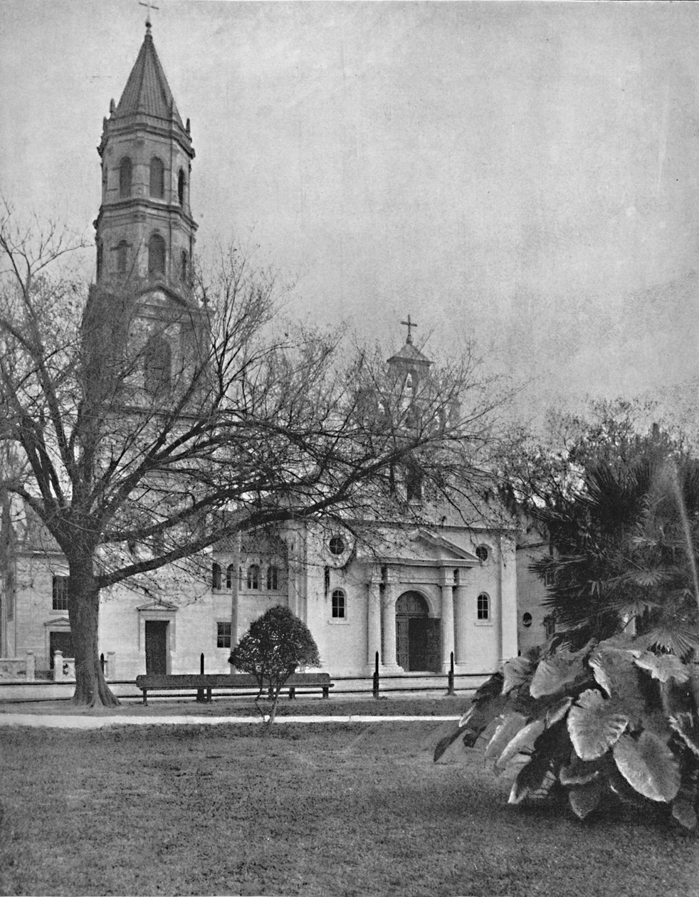 Cathedral of St. Augustine, Florida, c1897. av Unbekannt