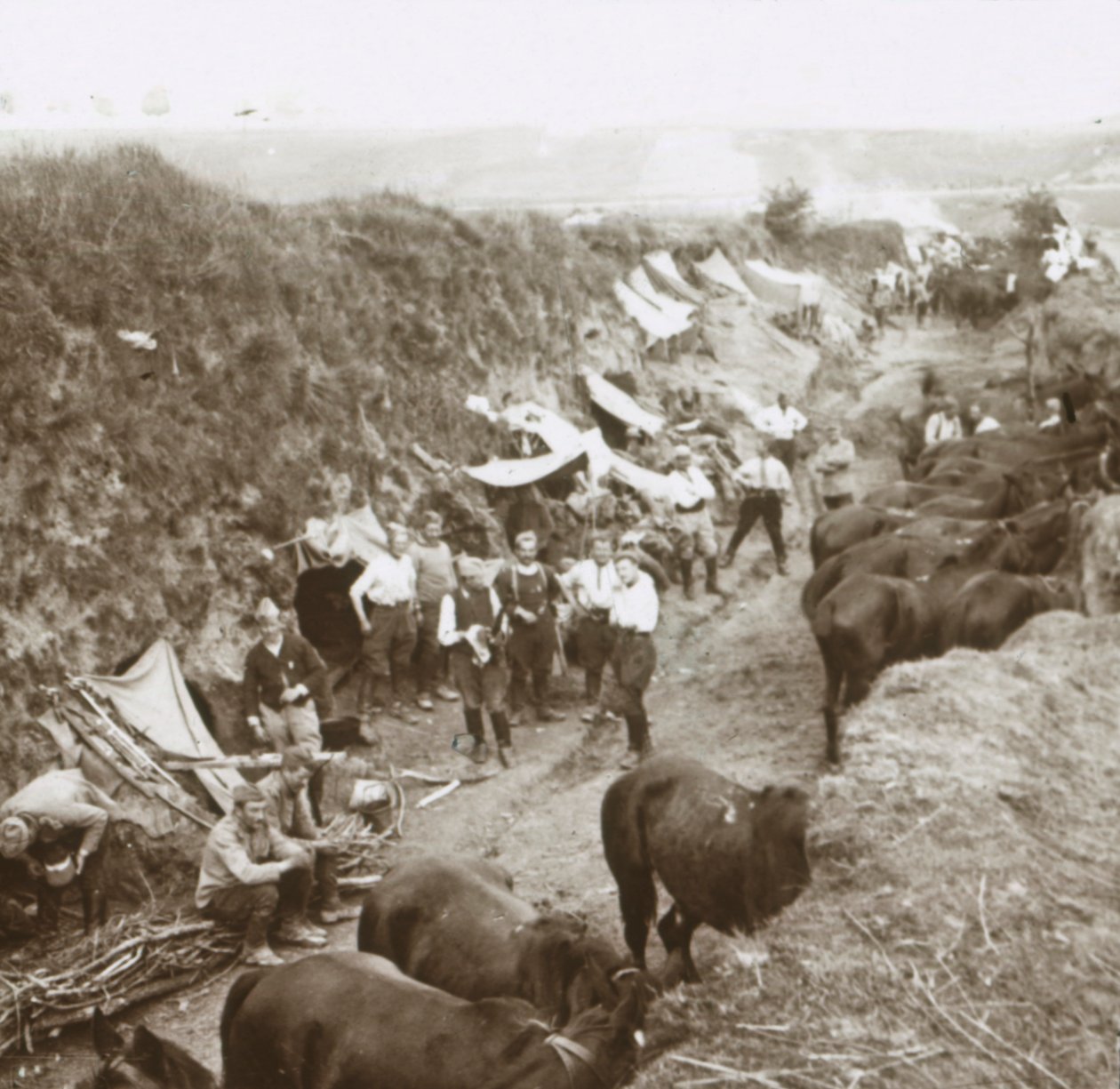 Kavalleri, c1914-c1918 av Unbekannt