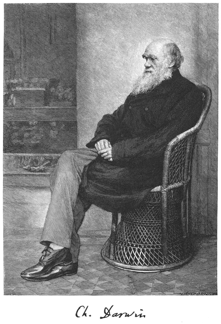 Charles Darwin, engelsk naturforskare, 1883 av Unbekannt