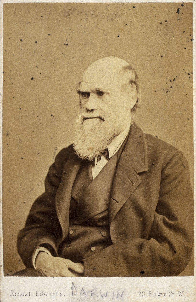 Charles Darwin, engelsk naturforskare, ca 1870-talet av Unbekannt