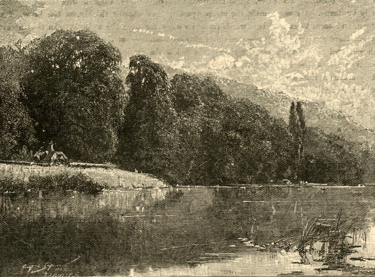 Cliefden Woods, 1898. av Unbekannt